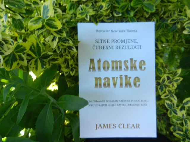 Osvrt na knjigu Atomske navike Jamesa Cleara